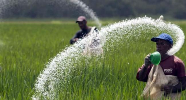 ප්‍රාථමික සෞඛ්‍ය සේවා විධිමත් කිරීමට ලෝක බැංකුවෙන් ඩොලර් මිලියන 5ක ආධාර
